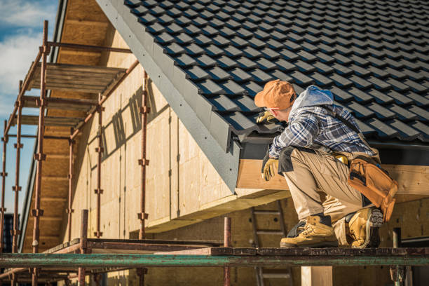 Best Skylight Installation and Repair  in Plain City, UT